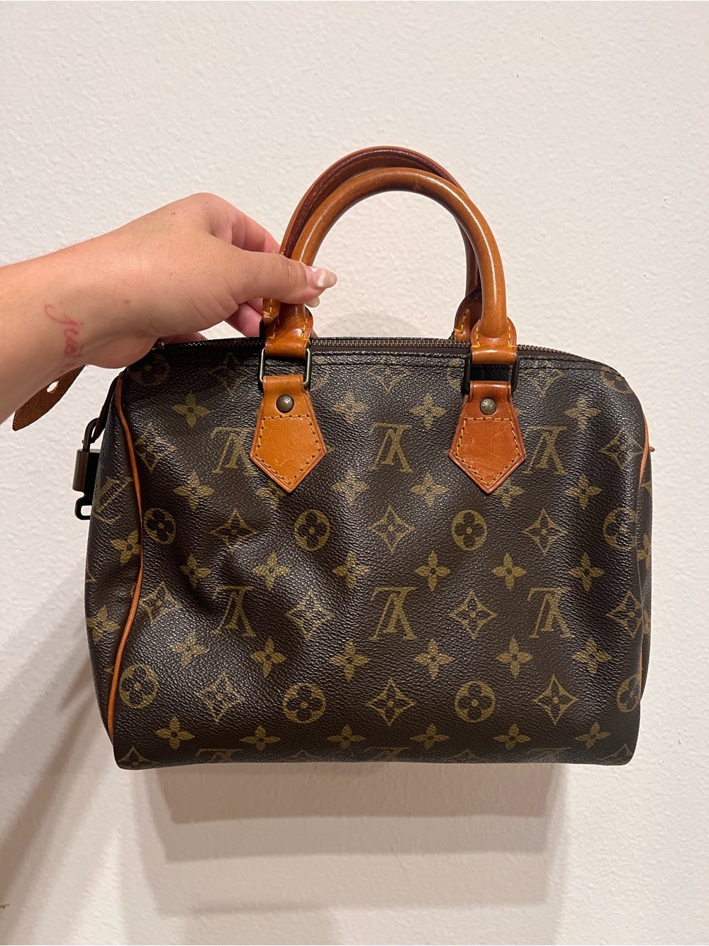 Louis Vuitton Speedy 25 Monogram Canvas